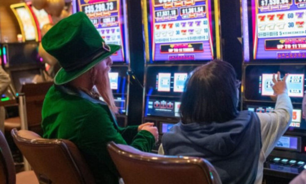 article_33998_gallery_1774865663794